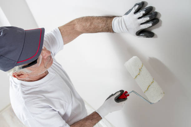 Best Industrial Mold Remediation  in Humboldt, KS