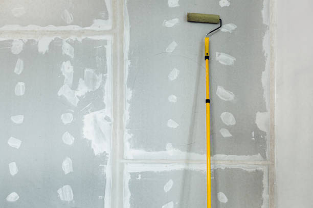 Best Mold Removal for HVAC Installations  in Humboldt, KS