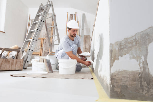 Trusted Humboldt, KS Mold Removal Experts