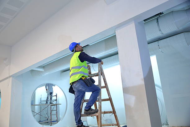 Best Commercial Mold Inspection  in Humboldt, KS