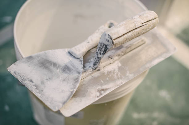 Best Forensic Mold Investigation  in Humboldt, KS